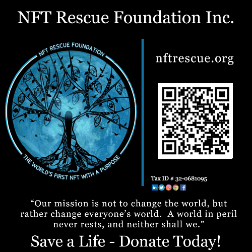 NFT Rescue Foundation Inc.
