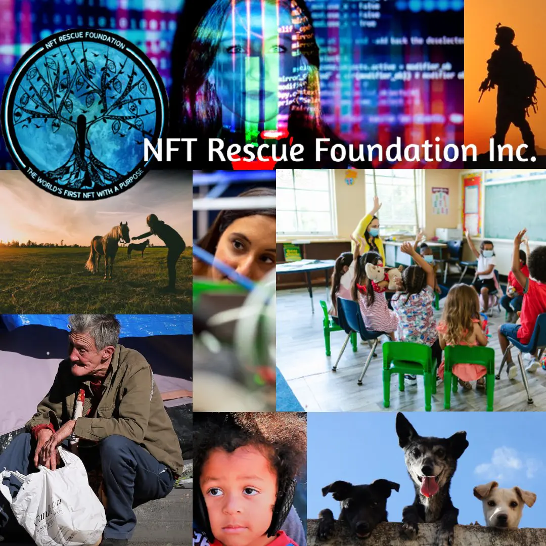 NFT Rescue What We Do